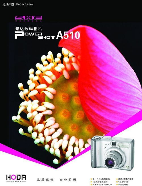 數字之眼 數碼相機背后的技術服務革命