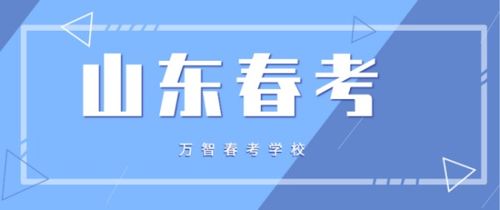 參加春季高考學信息技術專業 數字技術服務的就業前景與方向